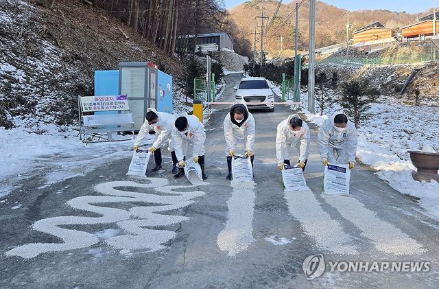 고병원성 AI 방역 나선 김병용 신임 강원농협 본부장