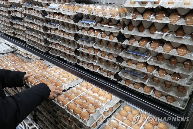 정부, AI 확산에 신선란 수입 선제적 조치