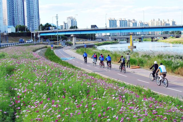 동대문구, 생활안전보험 확대 개편