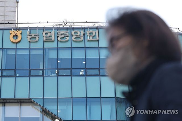 특별감사서 비위 의혹 불거진 농협중앙회