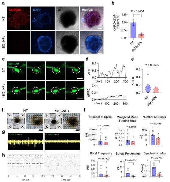 연구 결과 분석