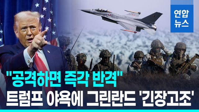 [영상] 트럼프 '그린란드 위협'에 덴마크 "공격받으면 즉각 반격" - 2