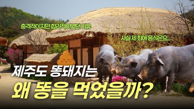제주 역사와 문화 이해 콘텐츠 이미지