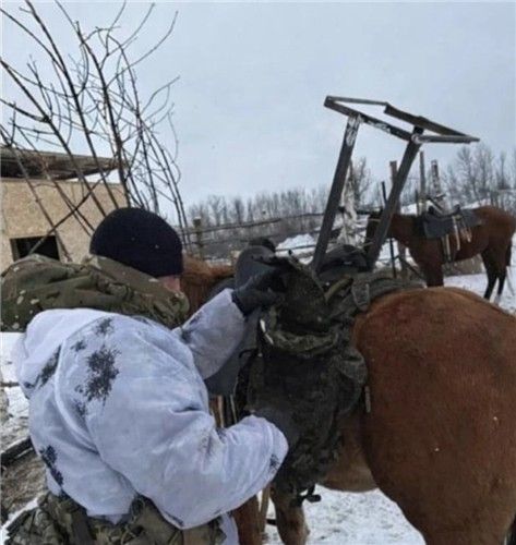말 안장에 위성안테나