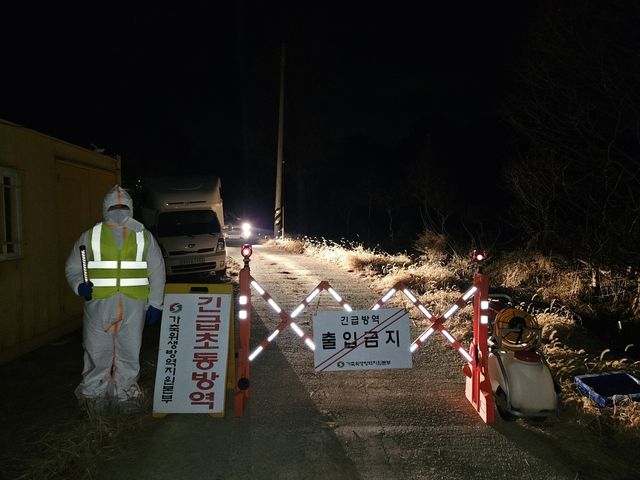 출입통제된 오리농장