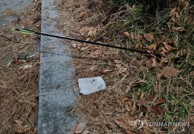 강아지 산책 중이던 여성 향해 날아든 화살