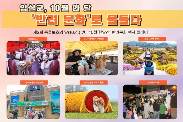 반려 문화 행사 홍보물