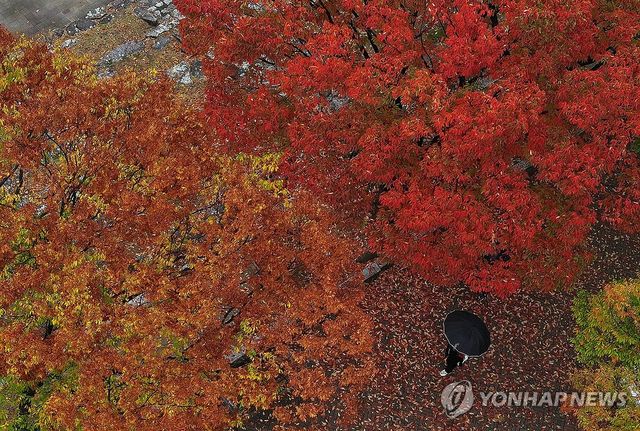가을로