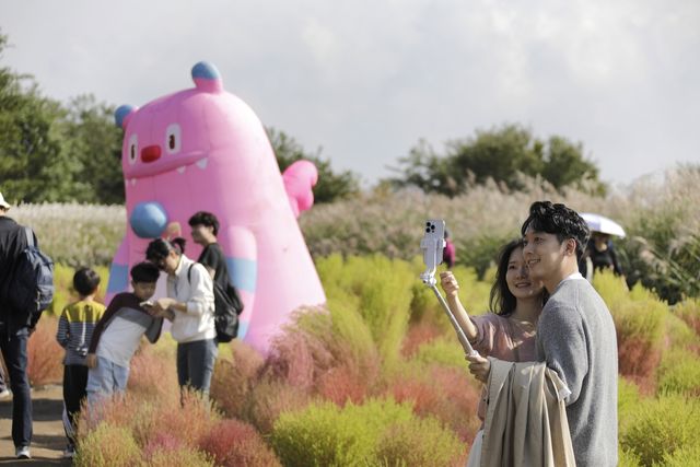 서울억새축제