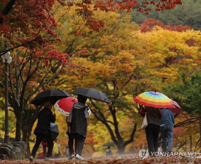 비 내리는 가을