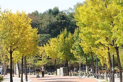 가을 청주