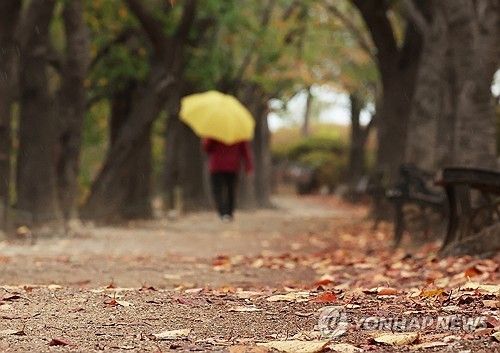 가을비에 떨어진 낙엽