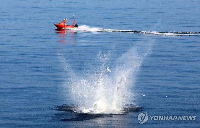 해상에 추락한 자폭용 드론