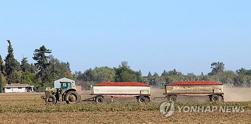 미국 캘리포니아주 데이비스 인근 농장