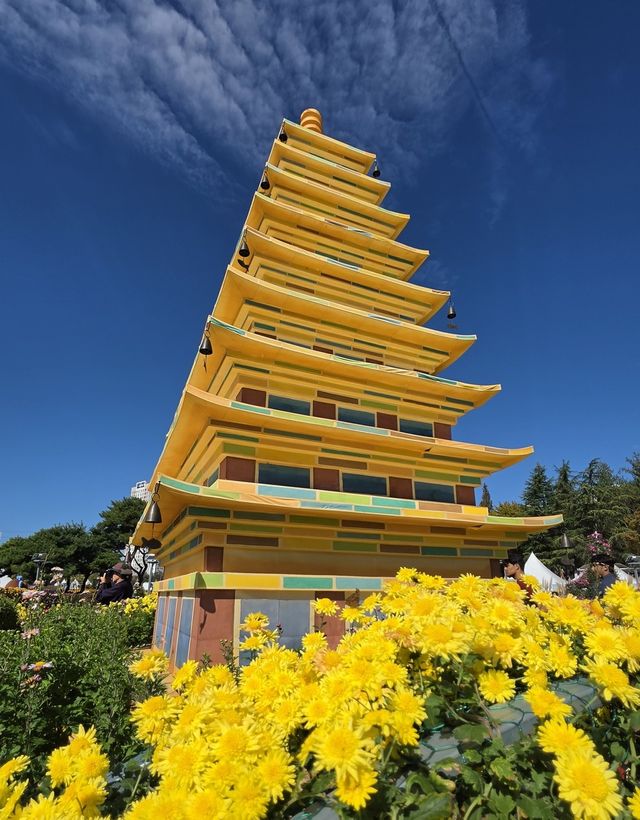 국화축제 작품