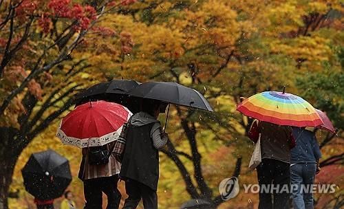 가을 재촉하는 비