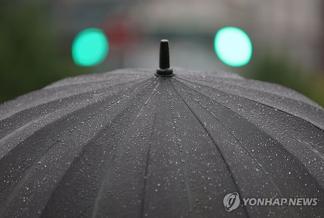 우산에 맺힌 빗방울