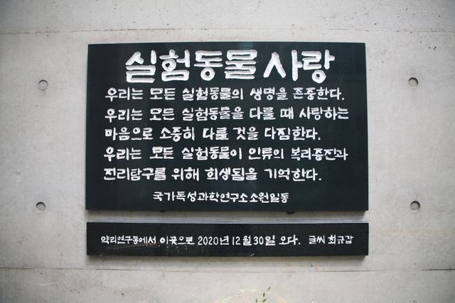 실험 동물 사랑
