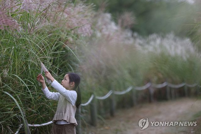 다시 만난 가을