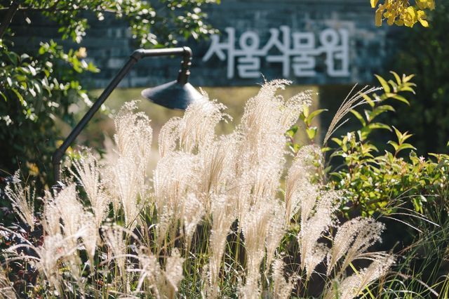 서울식물원 주제정원