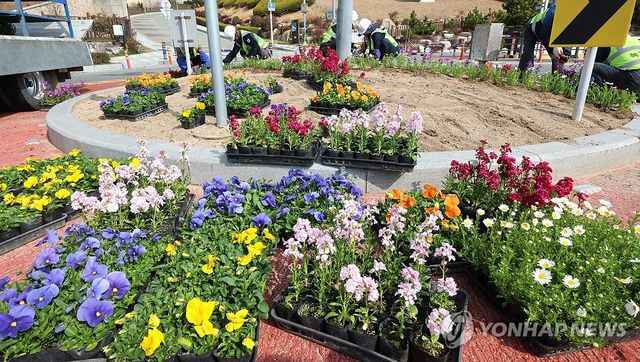 형형색색의 봄꽃 식재 시작