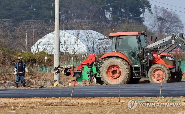 농사 준비 바쁜 강릉 들녘