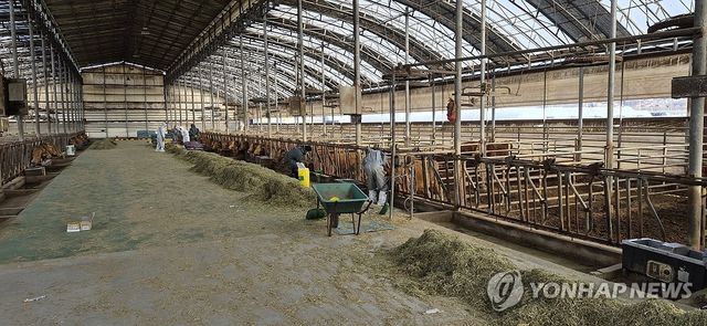 고양시 한우 농가서 두 번째 구제역 발생