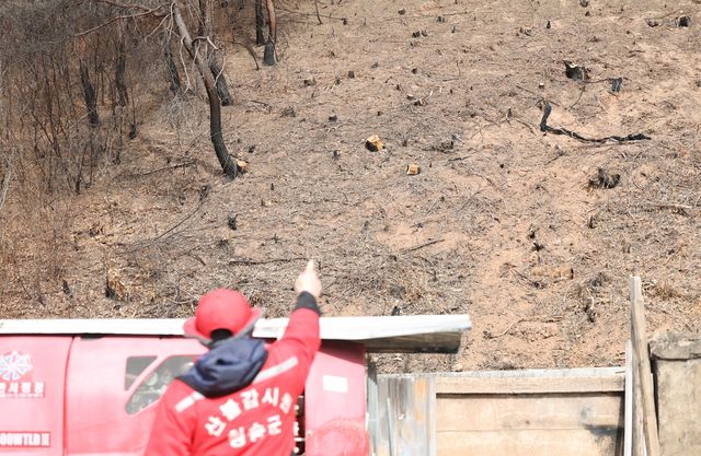 산사태 방지, 벌채한 흔적