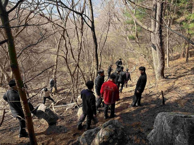 함양 산불 조사 모습