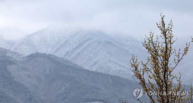 봄 너머의 겨울
