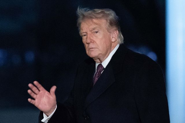 도널드 트럼프 미국 대통령 