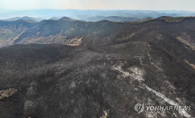 지난해 3월 경북산불 당시 모습
