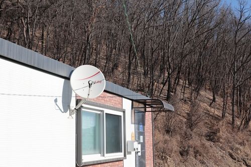 임시주택 뒤 까맣게 변한 숲