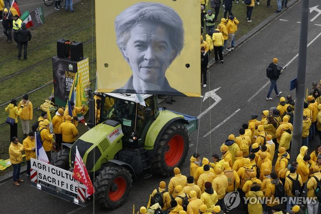 프랑스에서 열린 EU-남미공동시장 FTA 반대 시위