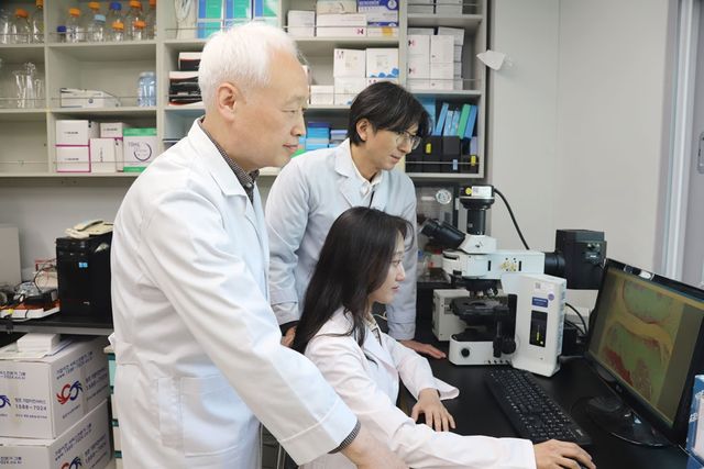 생공학연구원 연골 파괴 억제 단백질 연구