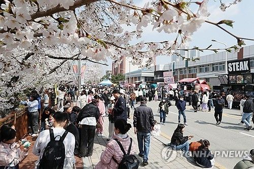 청주 무심천 벚꽃 축제를 보러온 시민들의 모습