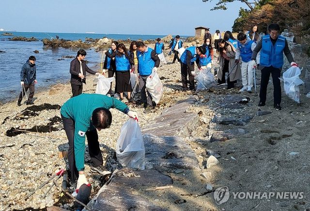 "반려해변서 환경정화 봉사합니다"
