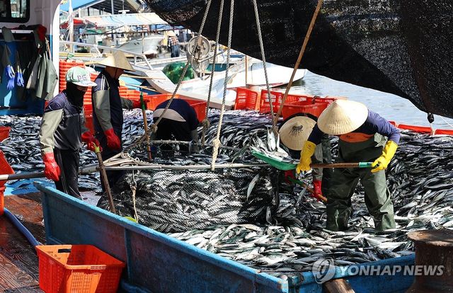 고등어 옮기는 외국인 선원