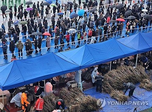 산림청의 나무 나눠주기