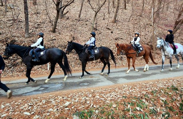 승마 프로그램 진행 모습