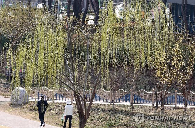 산책하기 좋은 날