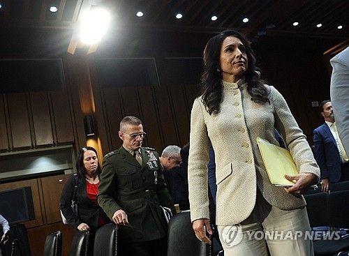 털시 개버드 DNI 국장