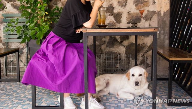 반려견동반카페