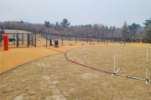 제주 반려동물 놀이공원