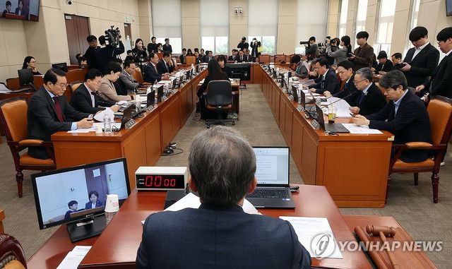 정치개혁특위 전체 회의