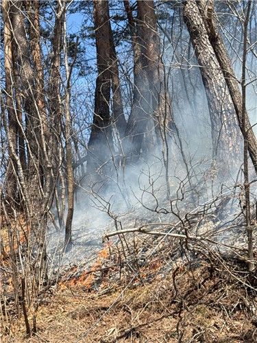 강원 태백서 발생한 산불