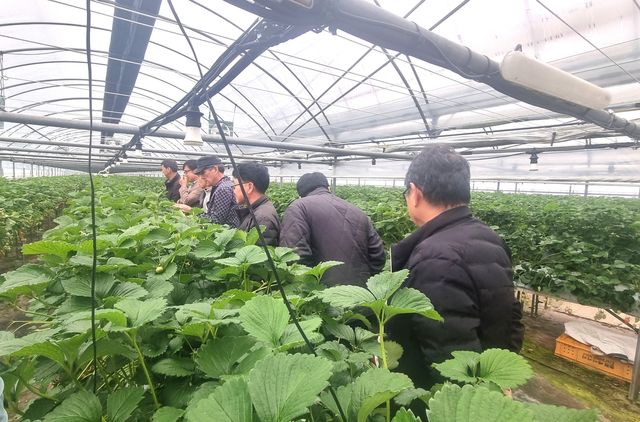 비닐하우스 난방 점검