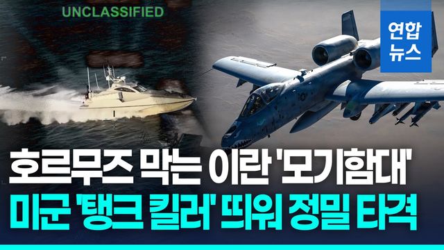 [영상] 호르무즈 막는 이란 '모기함대'…美 "A-10 공격기 띄워 격파" - 2