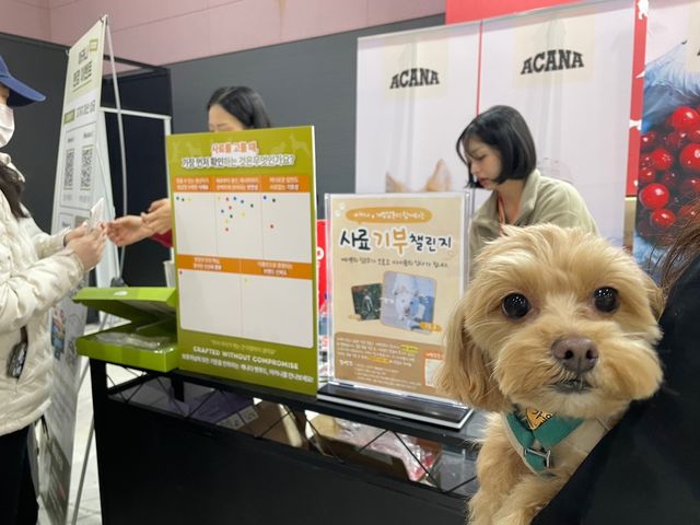 펫 사료 기호성 테스트를 진행 중인 참관객과 반려견