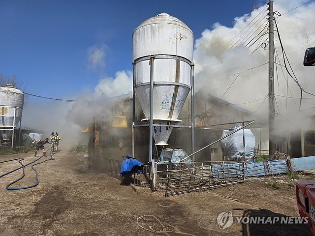 전북 고창군 돈사에서 불